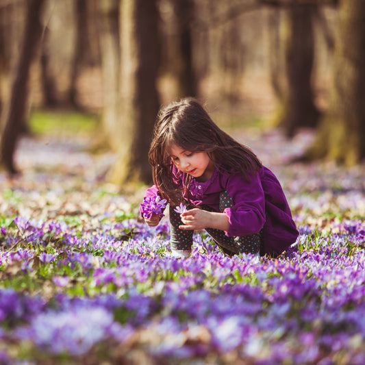Unlocking the Power of Saffron: A Deep Dive into Our Signature Blend